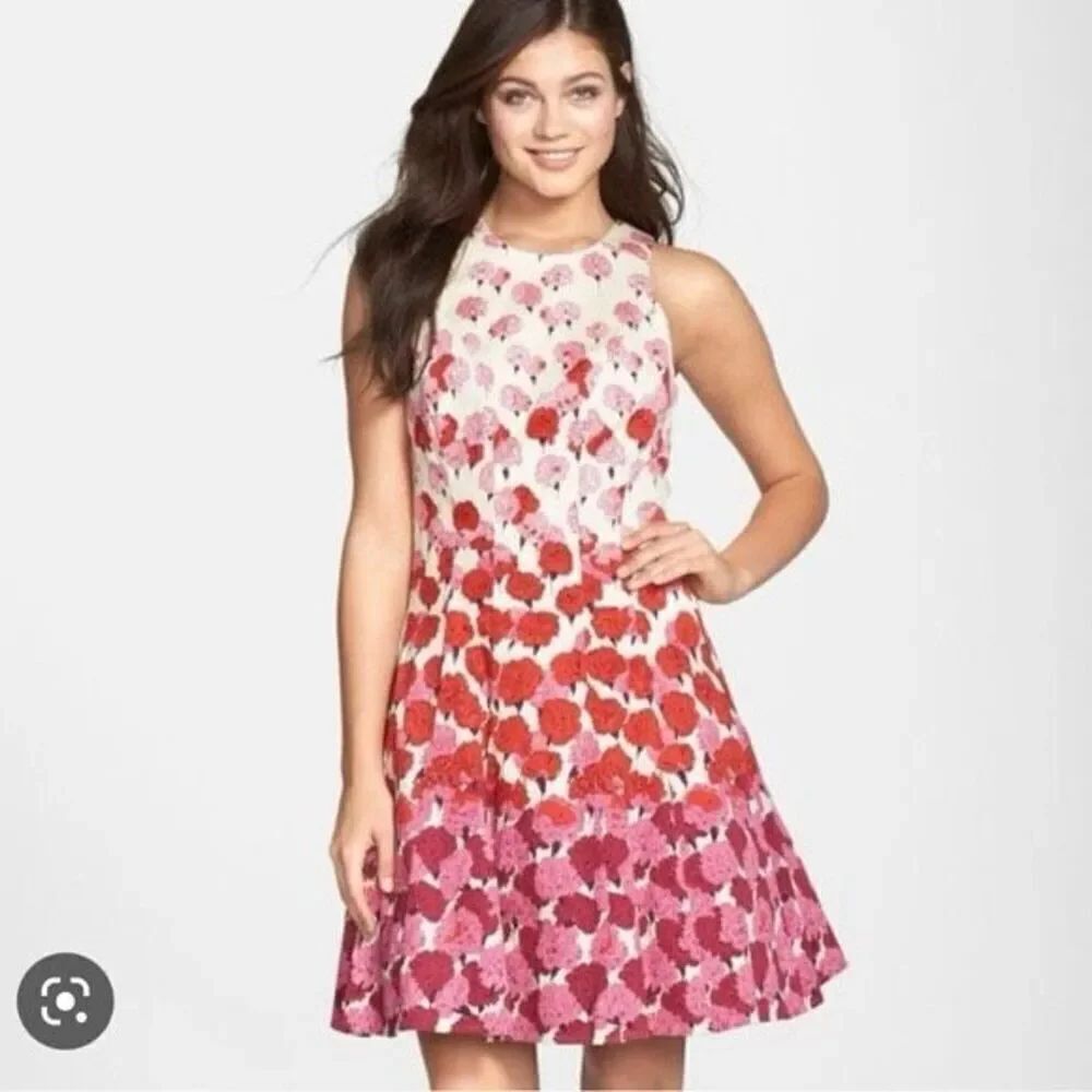 Maggy London Size 12 Sleeveless A-Line Tea Dress Pink Red Carnation Floral Ombre